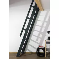 Antracite